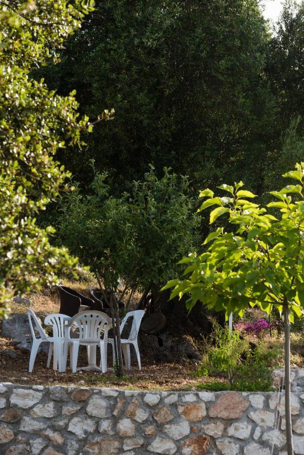 Makris House Daire Agia Efimia Dış mekan fotoğraf